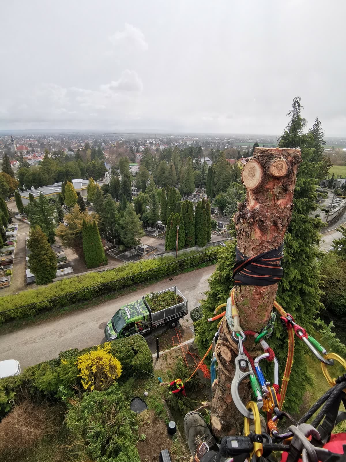 Treebrothers Arbeitsbild 11