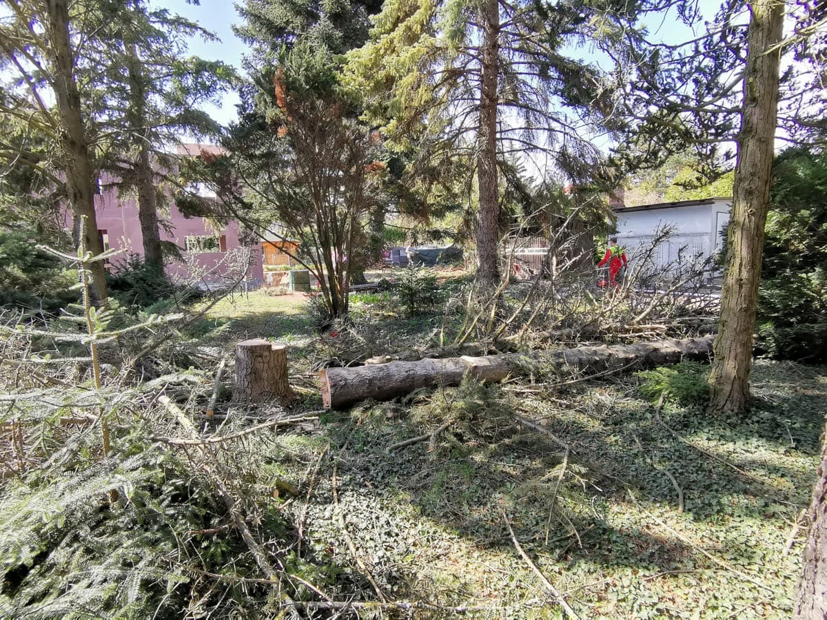 Treebrothers Arbeitsbild 12